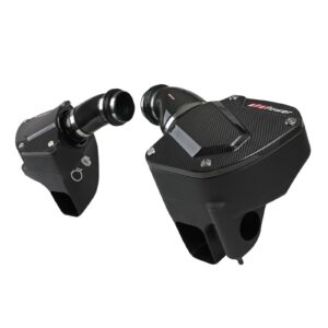 Black Series Carbon Fiber Cold Air Intake System w/Pro DRY S Filters