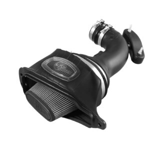 Momentum Cold Air Intake System w/Pro DRY S Filter Media