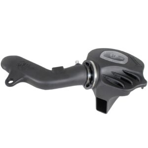 Momentum Cold Air Intake System w/Pro DRY S Filter Media