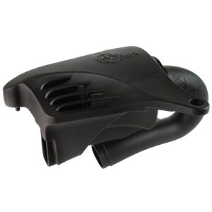 Momentum Cold Air Intake System w/Pro DRY S Filter Media