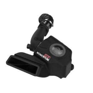 Momentum GT Cold Air Intake System w/ Pro DRY S Filter