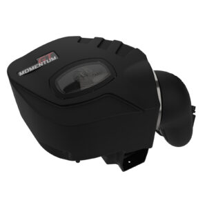 Momentum GT Cold Air Intake System w/ Pro DRY S Filter