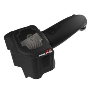 Momentum GT Cold Air Intake System w/ Pro DRY S Filter