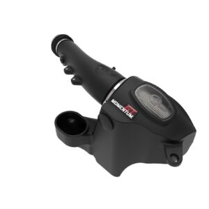 Momentum GT Cold Air Intake System w/ Pro DRY S Filter