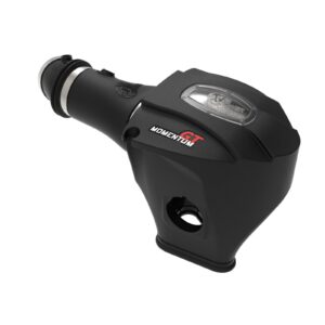 Momentum GT Cold Air Intake System w/Pro DRY S Filter