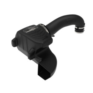 Momentum GT Cold Air Intake System w/Pro DRY S Filter Media