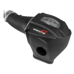 Momentum GT Cold Air Intake System w/Pro DRY S Filter Media