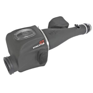 Momentum GT Cold Air Intake System w/Pro DRY S Filter Media
