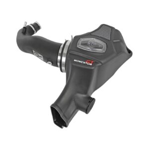Momentum GT Cold Air Intake System w/Pro DRY S Filter Media