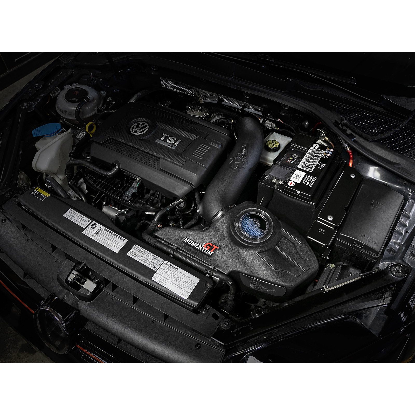 Momentum GT Cold Air Intake System - OVERSTOCK