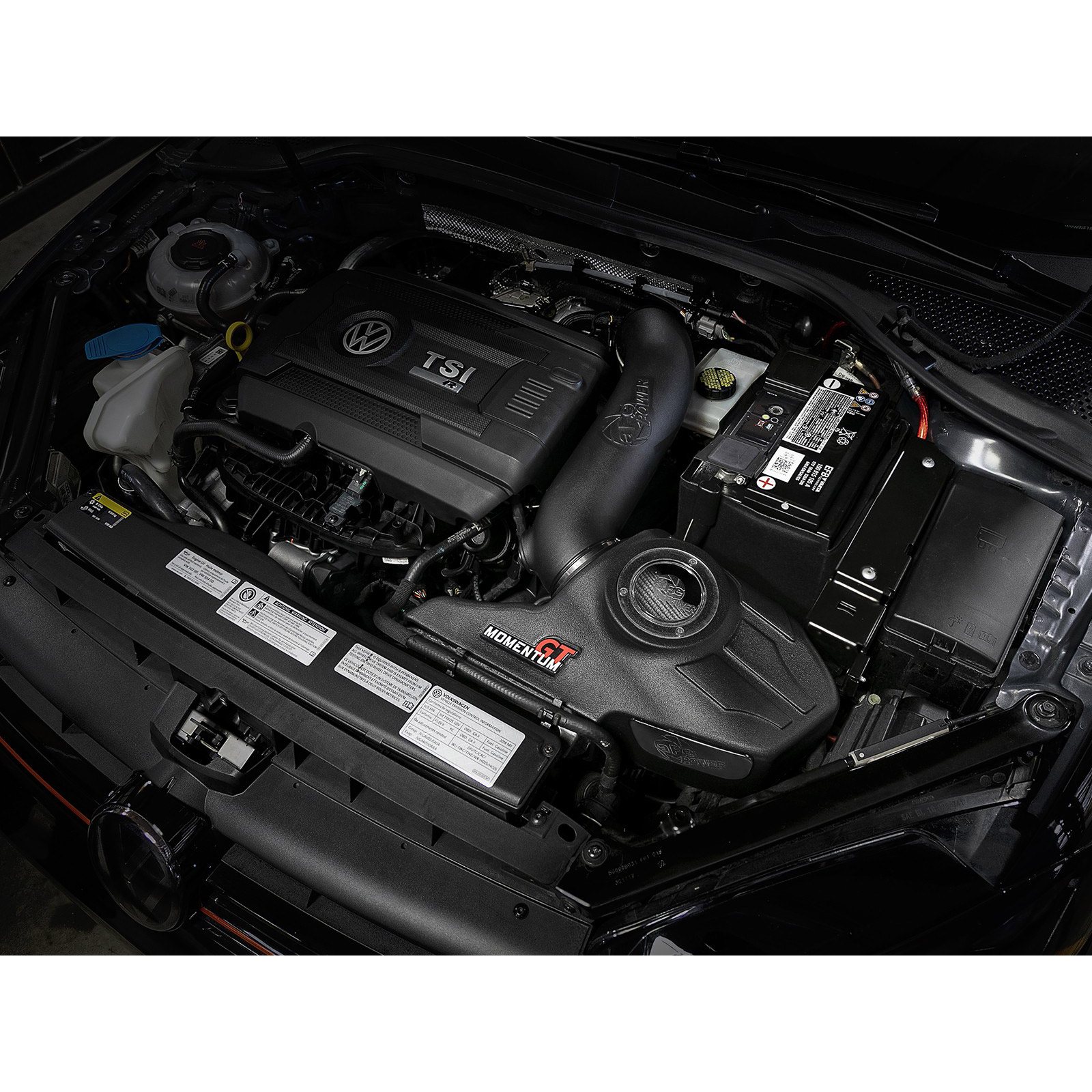 Momentum GT Cold Air Intake System - OVERSTOCK