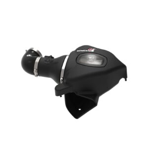 Momentum GT Cold Air Intake System w/Pro DRY S Filter - OVERSTOCK
