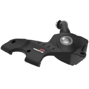 Momentum GT Cold Air Intake System w/ Pro DRY S Filter - OVERSTOCK