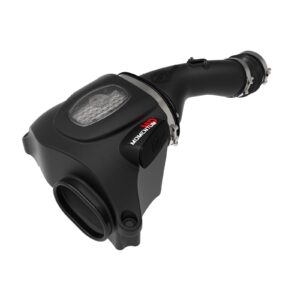 Momentum HD Cold Air Intake System w/ Pro DRY S Filter