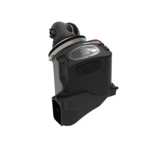 Momentum HD Cold Air Intake System w/Pro DRY S Filter