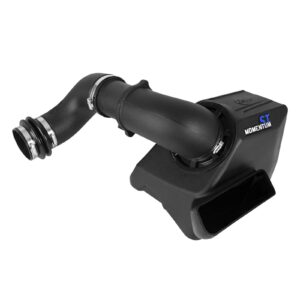 Momentum ST Cold Air Intake System w/Pro DRY S Filter Media
