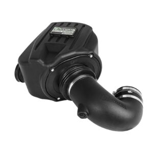 Quantum Cold Air Intake System w/Pro DRY S Filter Media