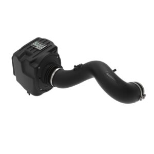 Quantum Cold Air Intake System w/Pro DRY S Filter Media