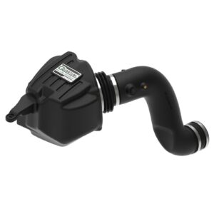 Quantum Cold Air Intake System w/Pro DRY S Filter Media