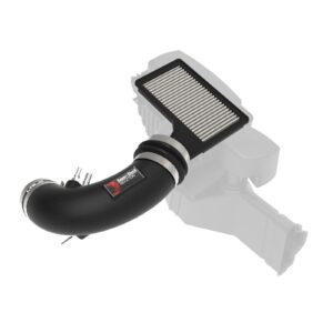 Super Stock Induction System&reg; w/Pro DRY S Filter Media