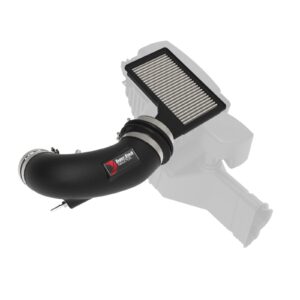 Super Stock Induction System&reg; w/Pro DRY S Filter Media