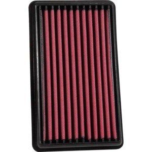 AEM-28-20232 DryFlow Air Filter