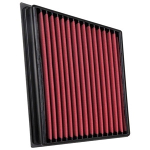 AEM-28-20466 DryFlow Air Filter
