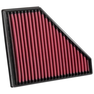 AEM-28-20496 DryFlow Air Filter