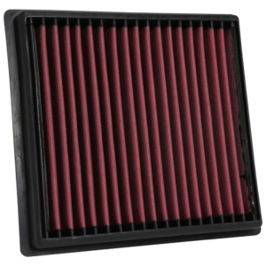 AEM-28-50030 DryFlow Air Filter