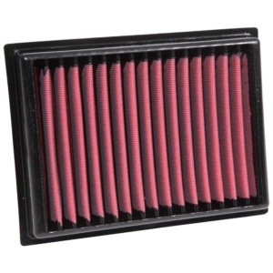 AEM-28-50099 DryFlow Air Filter