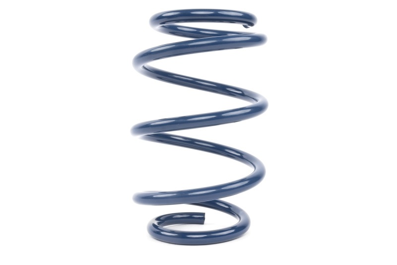 Dinan D100-0942 Performance Spring Set for Suspension - Image 4