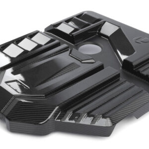 Dinan D590-0005 Gloss Carbon Fiber Engine Cover