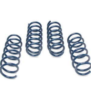 Dinan D100-0933 Performance Spring Set for BMW 540i