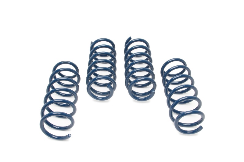 Dinan D100-0933 Performance Spring Set for BMW 540i